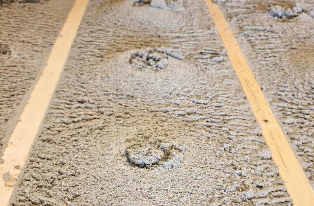 Einblasplatte-Werksbefuellung-Zellulose_groß Einblasplatte-Werksbefuellung-Zellulose_groß